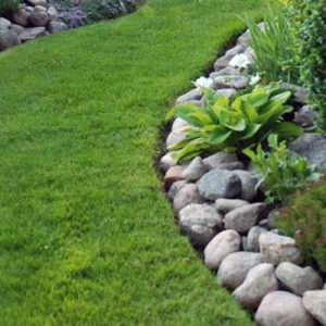 Contact us about property management services