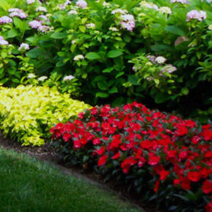 Community Management, Central NJ, Southern New Jersey